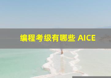 编程考级有哪些 AICE